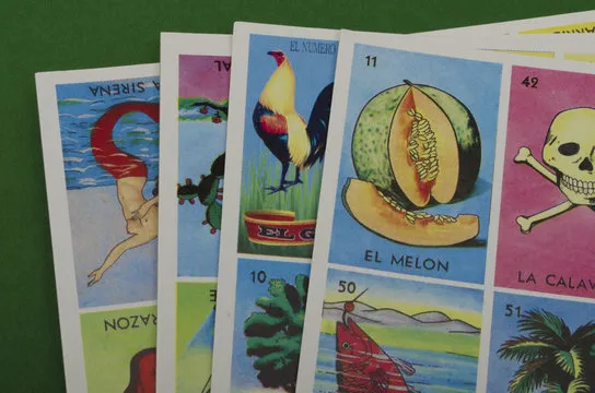 数据可视化预览